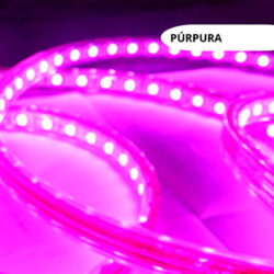 Cinta Led 220V Púrpura 2835 Interior/Exterior 1metro